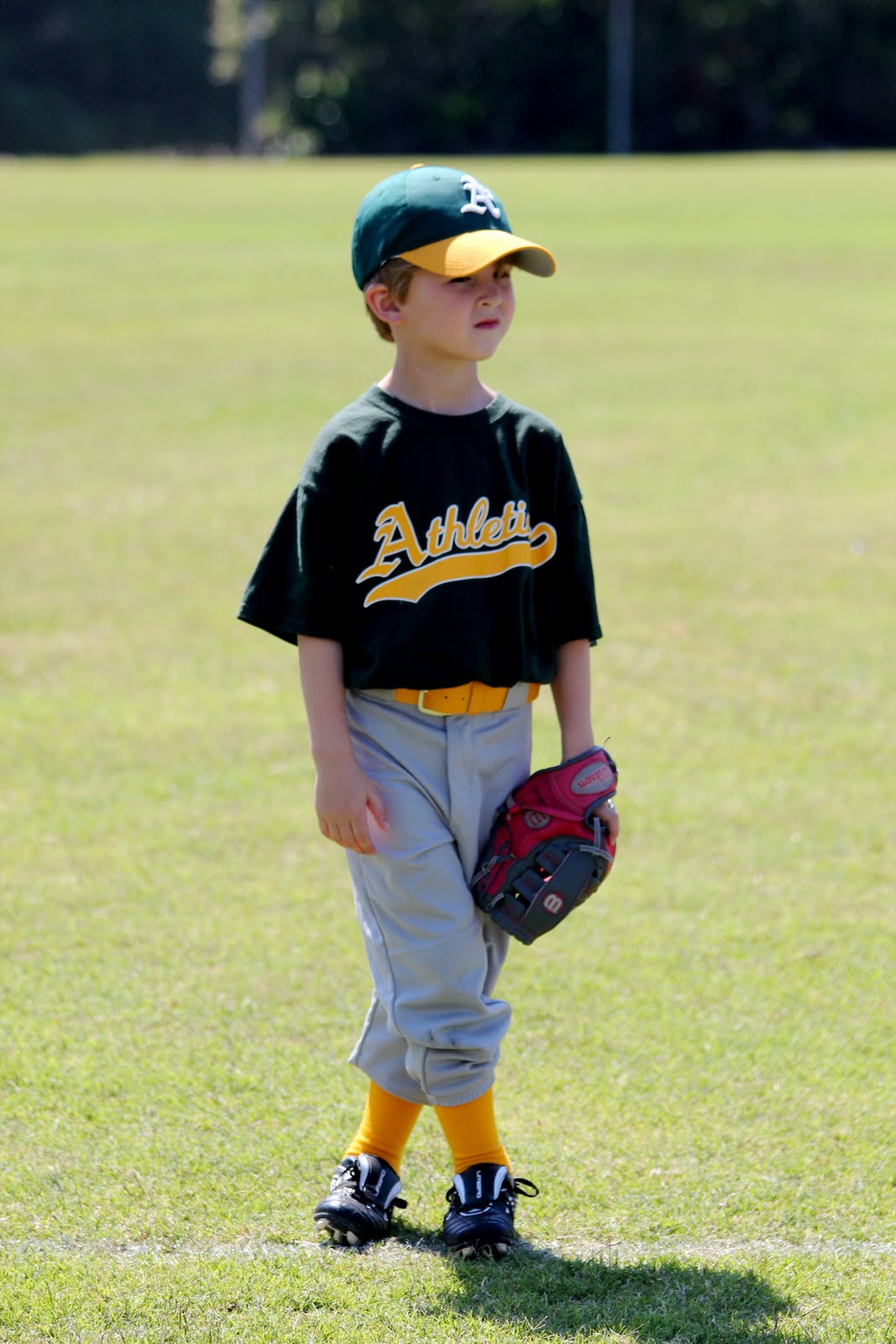 The Segrests Baseball 2011 Coach Pitch 