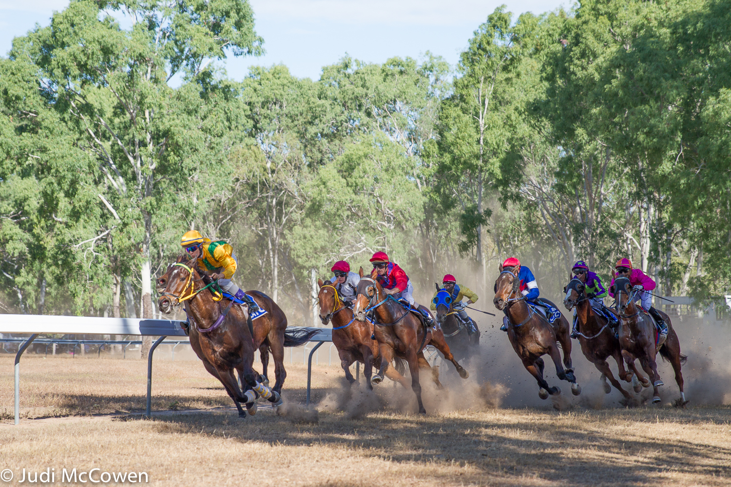 JUstDreamInparadise: Laura Campdraft, Races and Rodeo