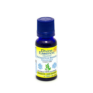 Lierre Medical Eucalyptus Radiata Organic Essential Oil 15ml,DIVINE ESSENCE
