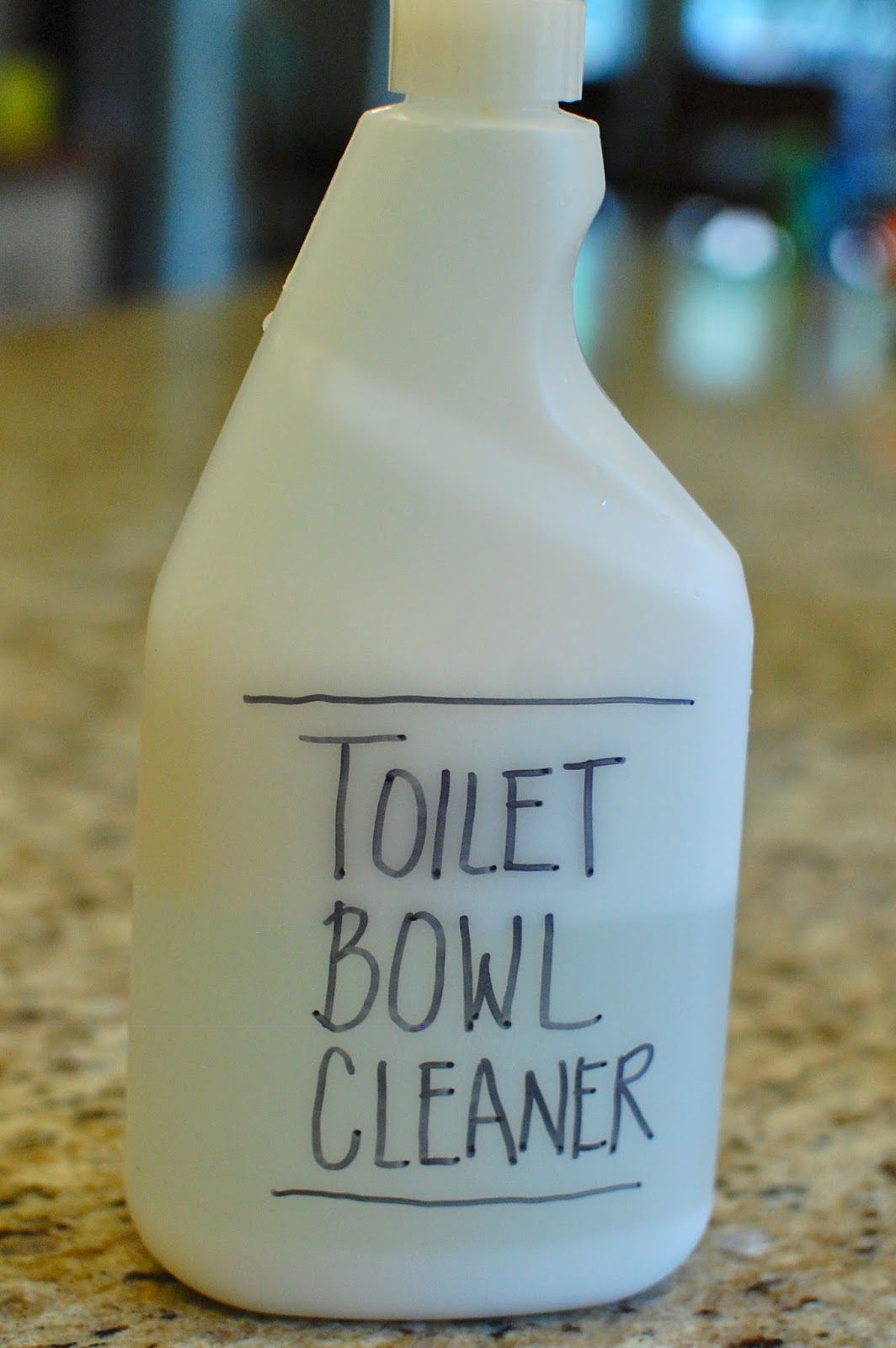 The Unprocessed Project toilet bowl cleaner
