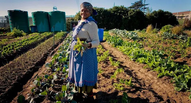 B&E | The Future of the Food System : South Africa as a Case Study
