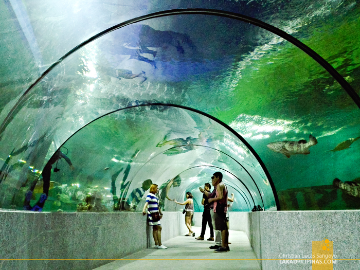 Crown Regency Resort & Convention Center Boracay Oceanarium