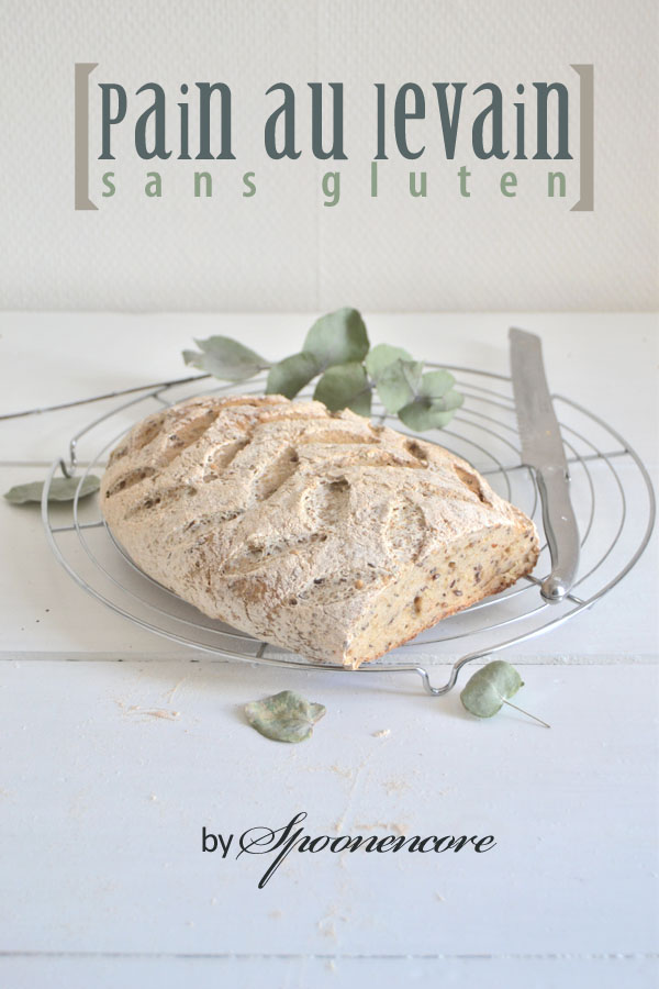 recette pain au levain sans gluten blog spoonencore