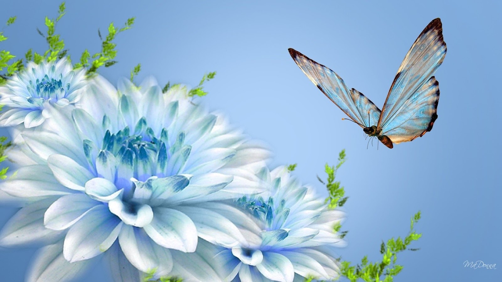 Flowers and Butterflies Wallpaper