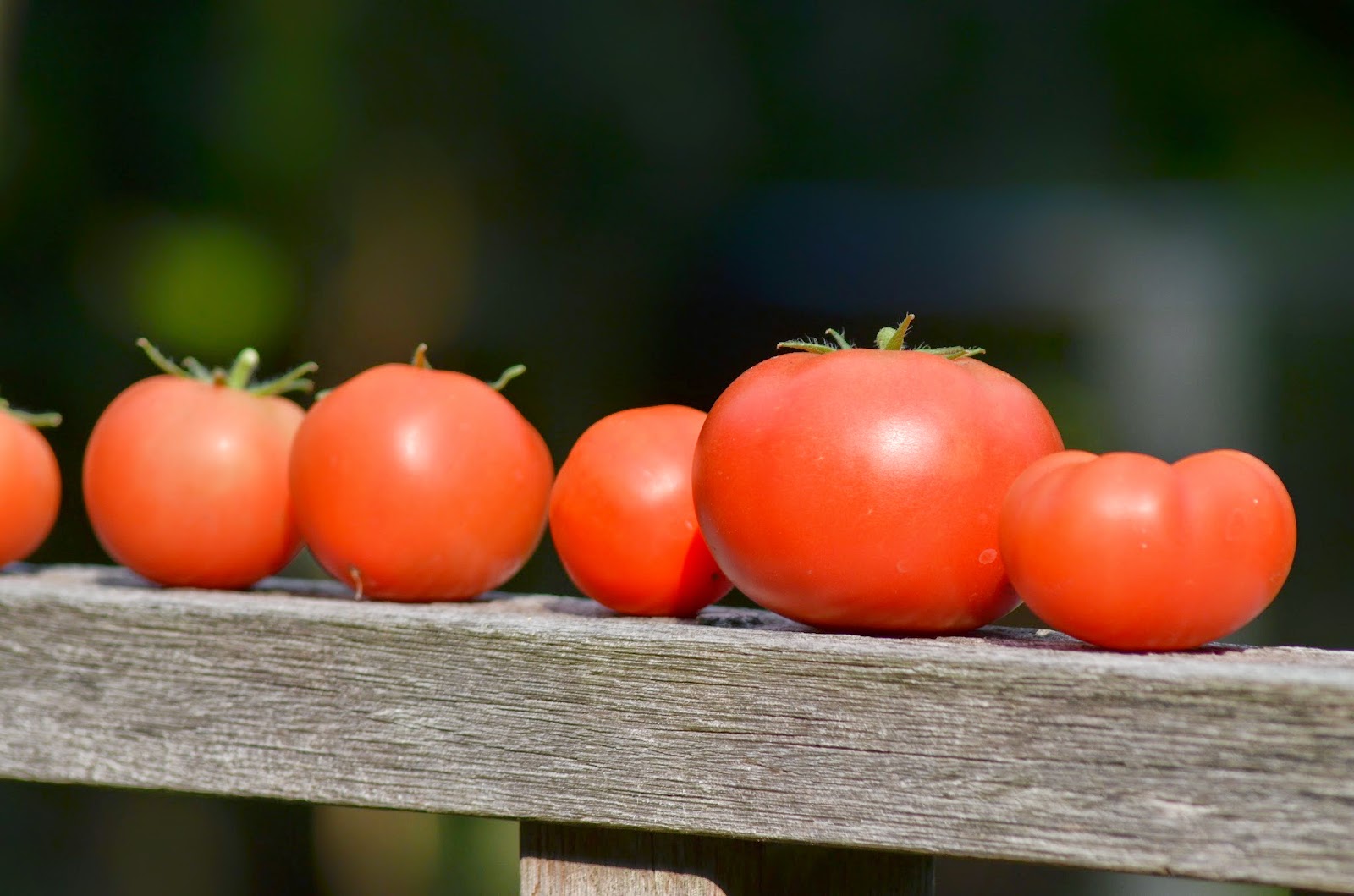 Wecken en inmaken: Tomatenchutney met komkommer