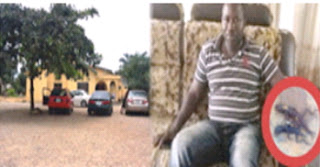 man vomits live lizards in nigeria man vomits two lizards in nigeria