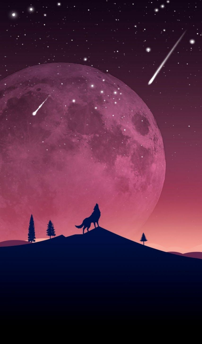 Free Wallpapers For Phone Rememberingnanabird
