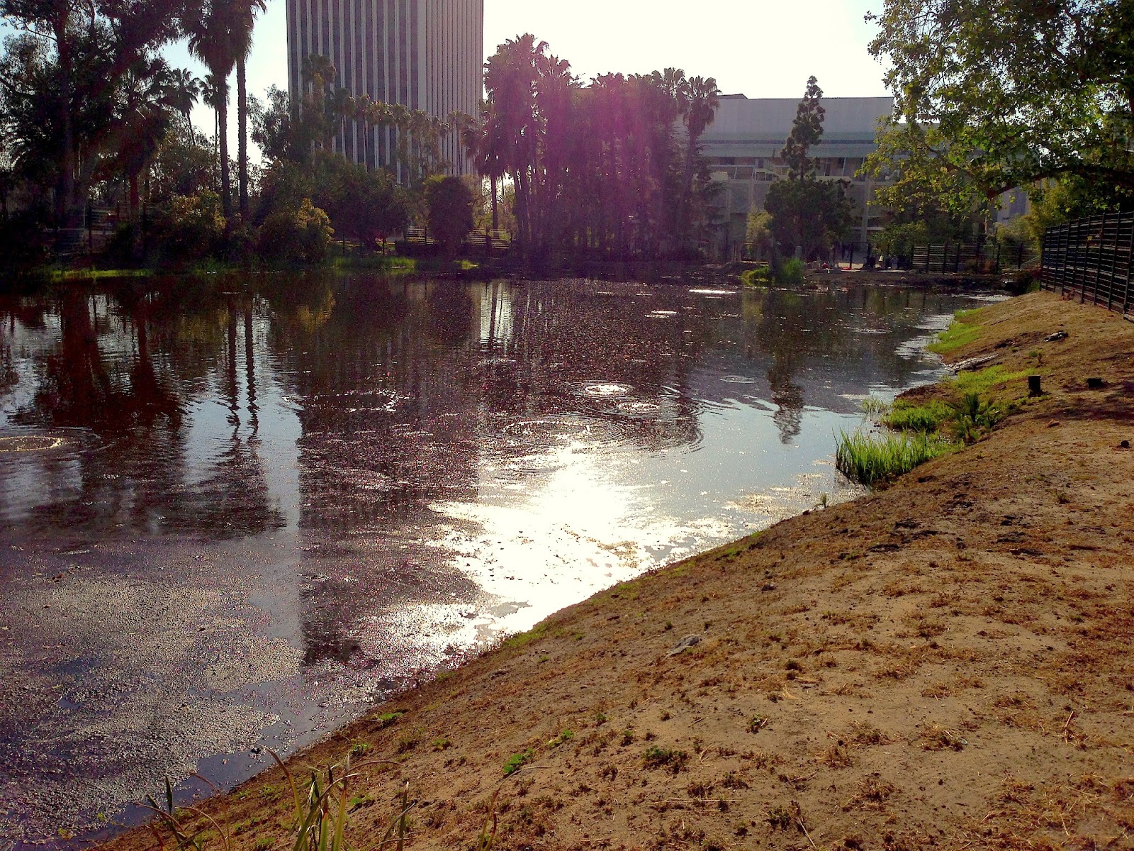 Inside The Actors Studio Apartment The La Brea Tar Pits An iPhone