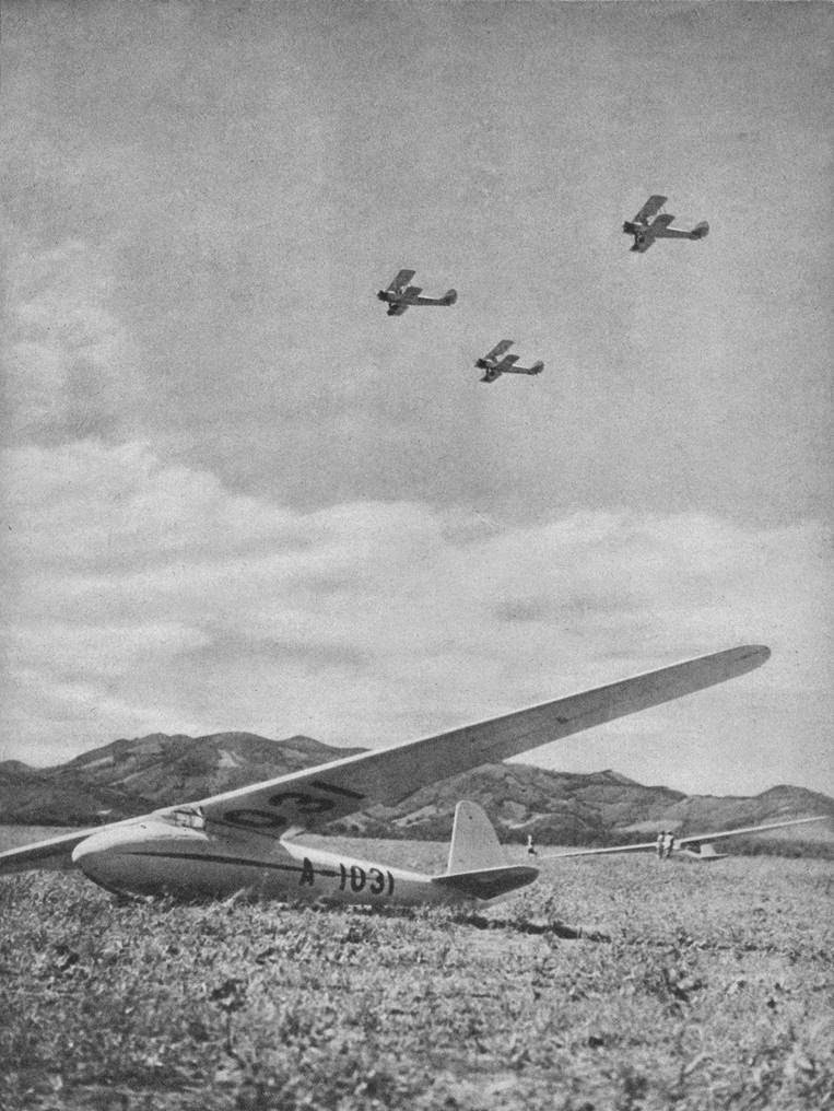 WildEagles Gliders Japanese Olympia Meise