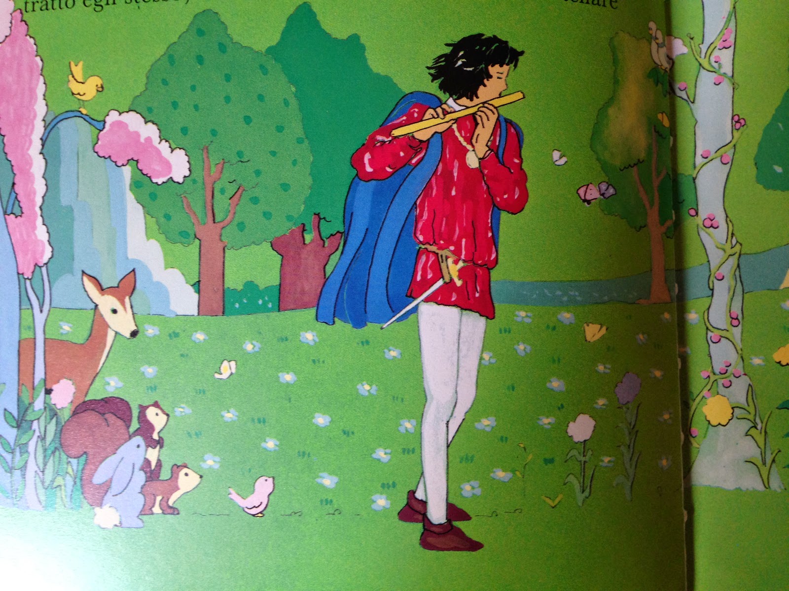 Piccoli Viaggi Musicali Il Flauto Magico 1 Libro Di Lettura Per Bambini