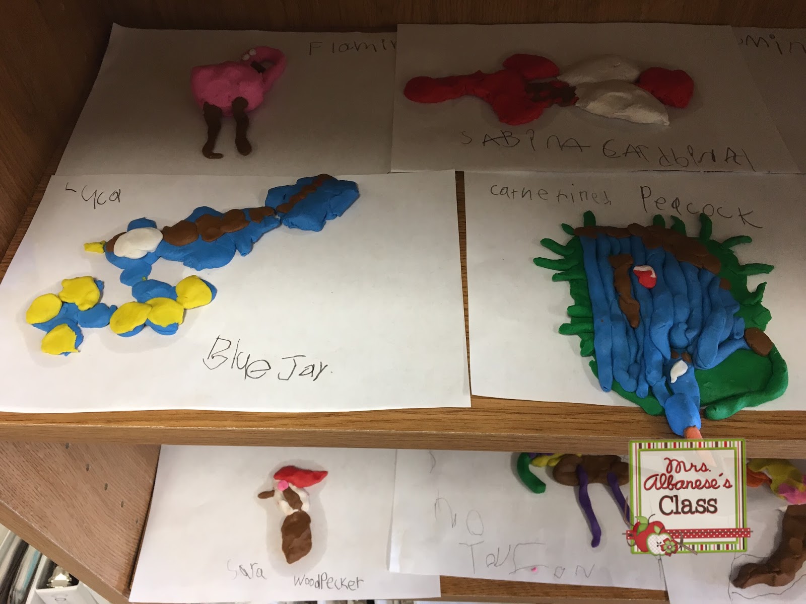 Our Bird Inquiry Mrs. Albanese's Kindergarten Class