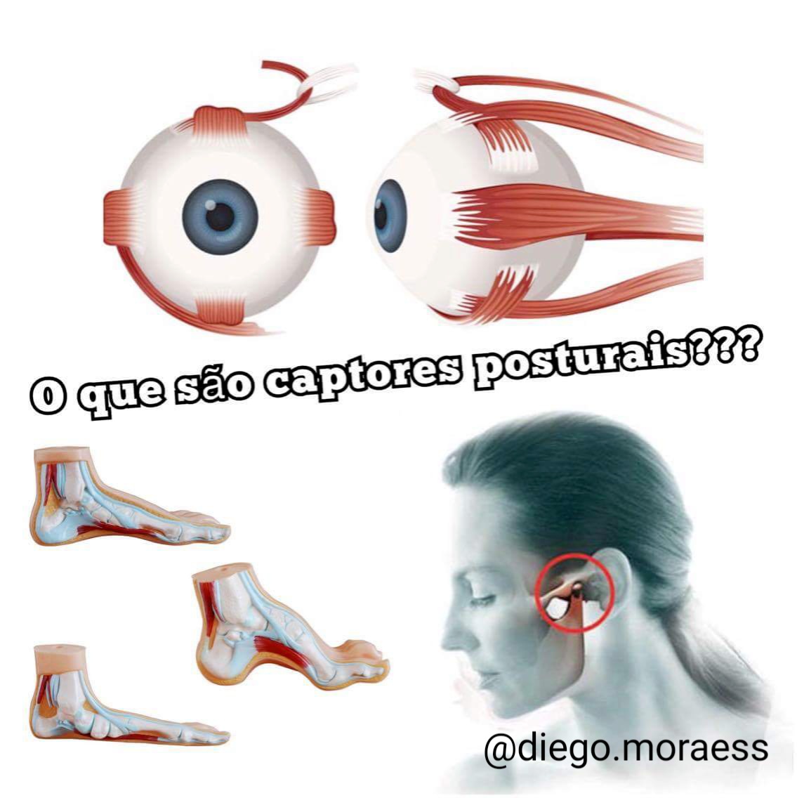 Resultado de imagem para captor ocular