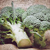 Σταυρανθή λαχανικά: Η πολύτιμη θρεπτική τους αξία