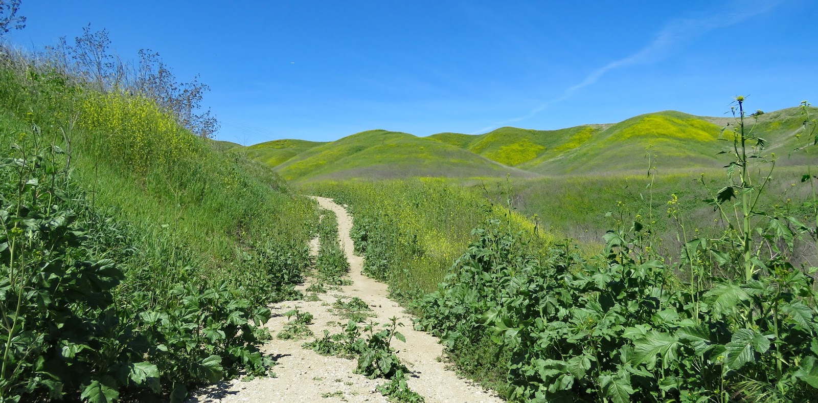 Rolling in an RV Wheelchair Traveling...... Chino Hills State Park