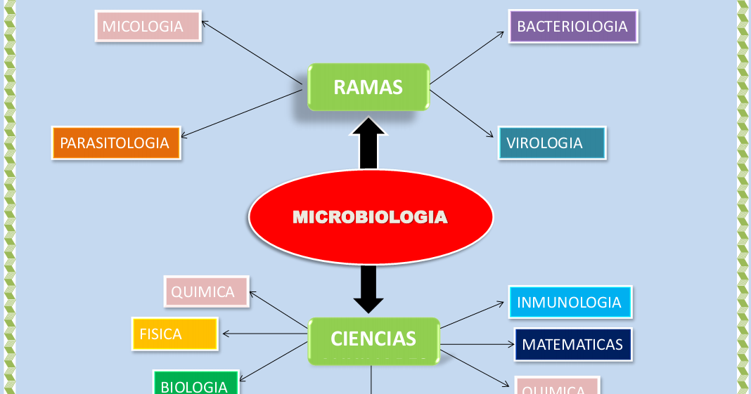 Mapa Mental De Las Ramas De La Microbiologia - vrogue.co