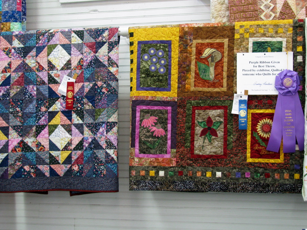 Exuberant Color More fair quilts......