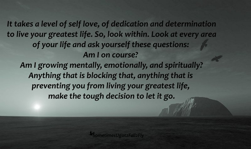 Sometimes U Got 2 Fall 2 Fly Tough Decisions