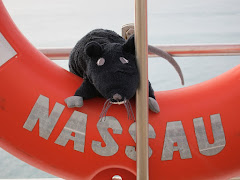 RAT at Sea