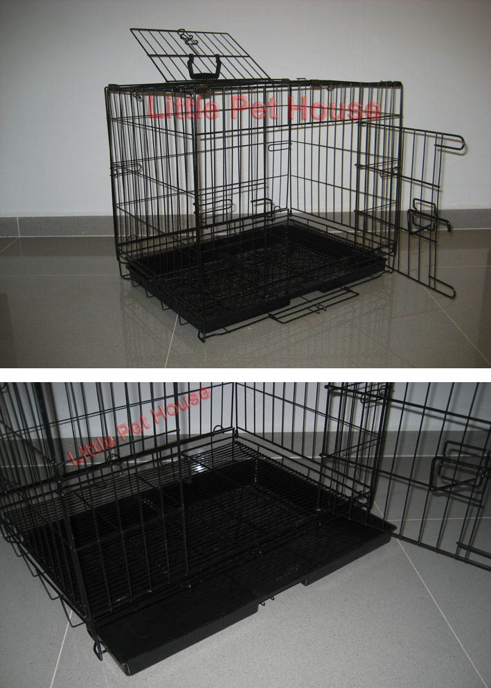 Little Pet House Your Budget Friendly Online Pet Shop in Singapore 2