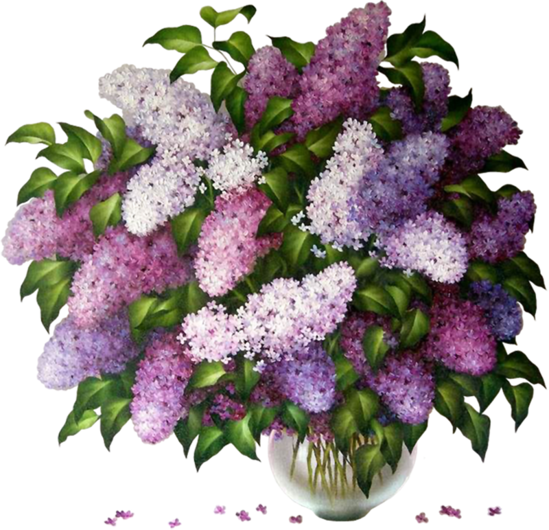 lilac in vases
