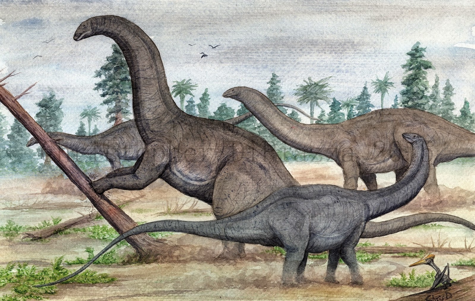 apatosaurus Avatar