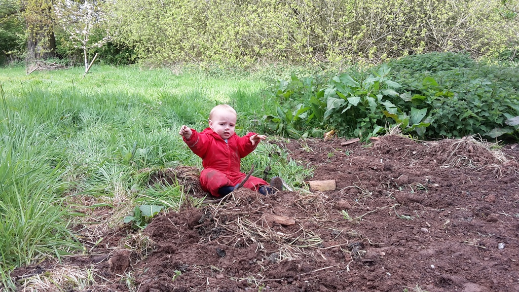 An English Homestead Eating Mud