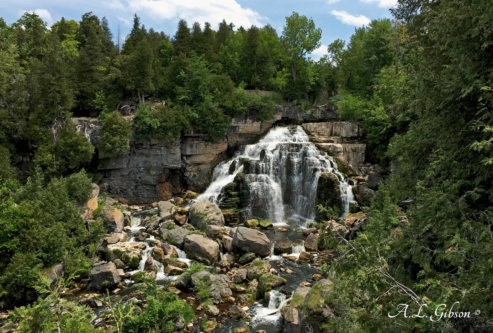 The Buckeye Botanist The Bruce Peninsula Part V Rare Ferns and an