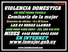 VIOLENCIA DOMESTICA