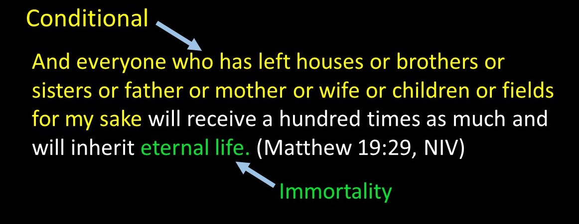 Conditional%2BImmortality%2B7.JPG