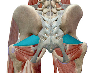 Hip pain when running?  Maybe it’s shortening of the triquetrum