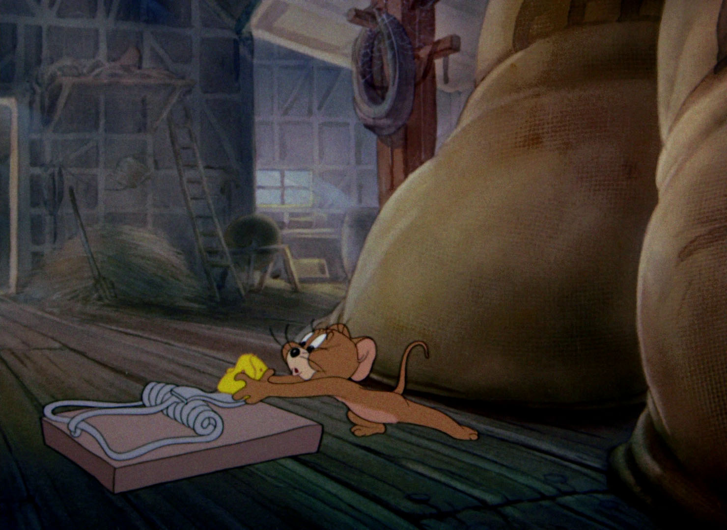 джерри май. том и джерри спайк и тайк. том и джерри пернатая подружка. Tom i jerry. том и джерри dvd самые смешные.