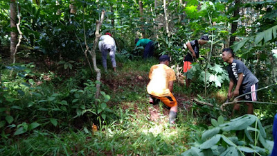 Menjelang Kunjungan Dinas Pariwisata dan Kebudayaan, Pemerintah Desa Wonosido Adakan Kerja Bakti Buka Jalan Menuju Area Wisata