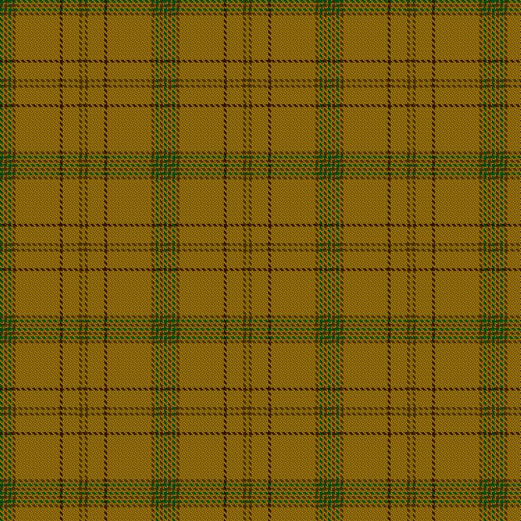 Flipside National Tartan Day