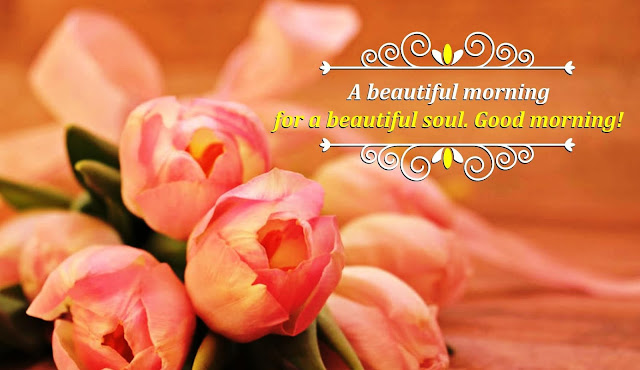 good morning flowers with messages good morning flowers with messages