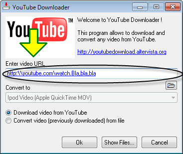 You tube downloader.