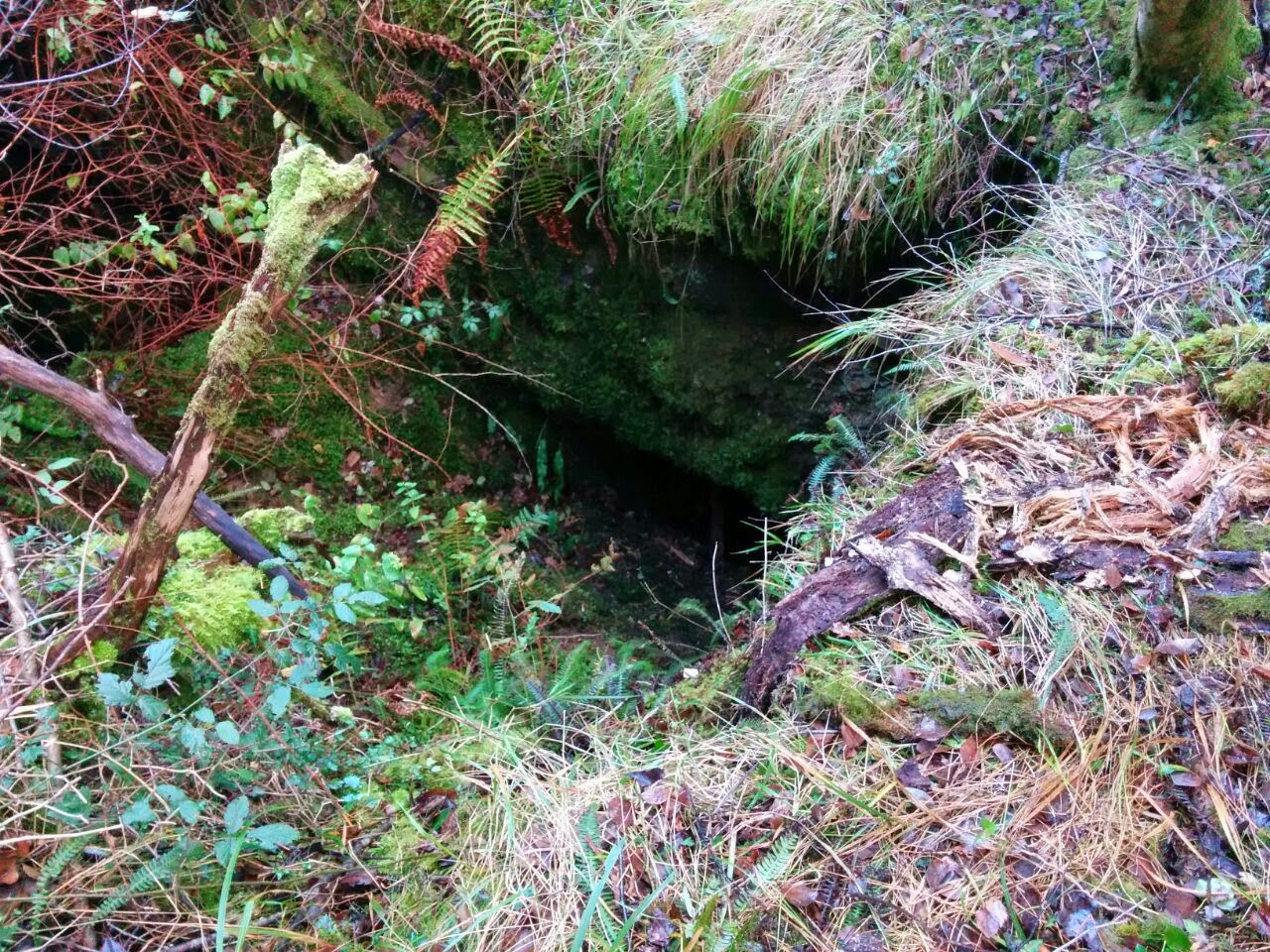 Asteroko kronikie The Olabarri Men In Action