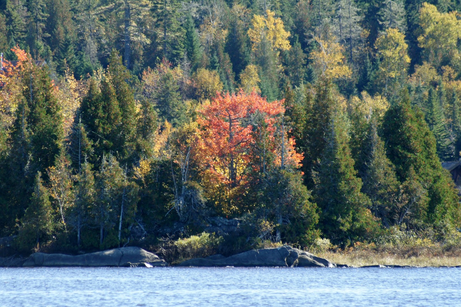 SUMMERSAILING Sailing around Kennebecasis Island to Sea Dog Covehike