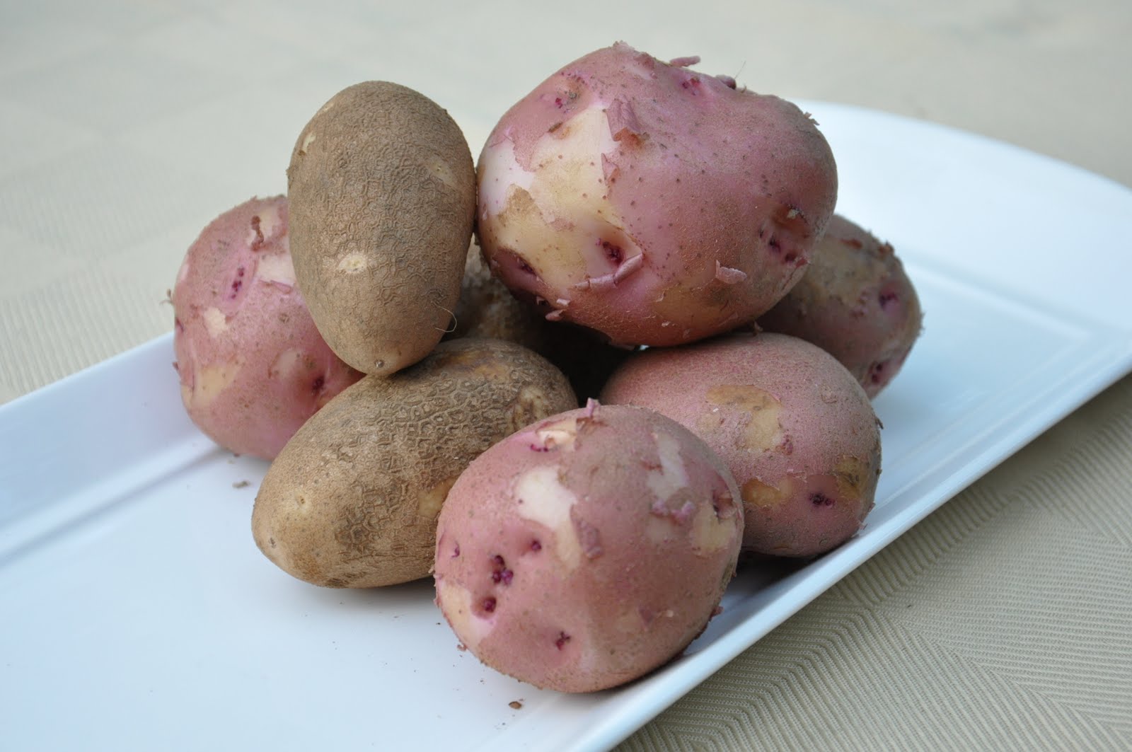 If Music be the Food of Love, Play On Creamy Veal Scallopini Marsala