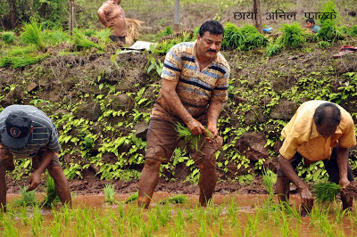 Bhaskar Jadhav Farmer