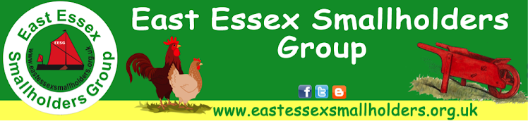 East Essex Smallholders Chitchat