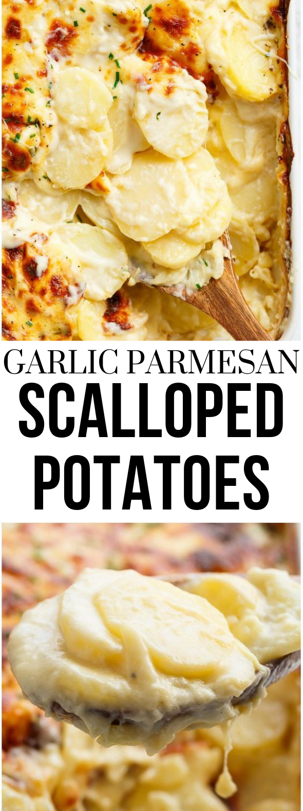 garlic parmesan scalloped potatoes #meal #delicious garlic parmesan scalloped potatoes #meal #delicious