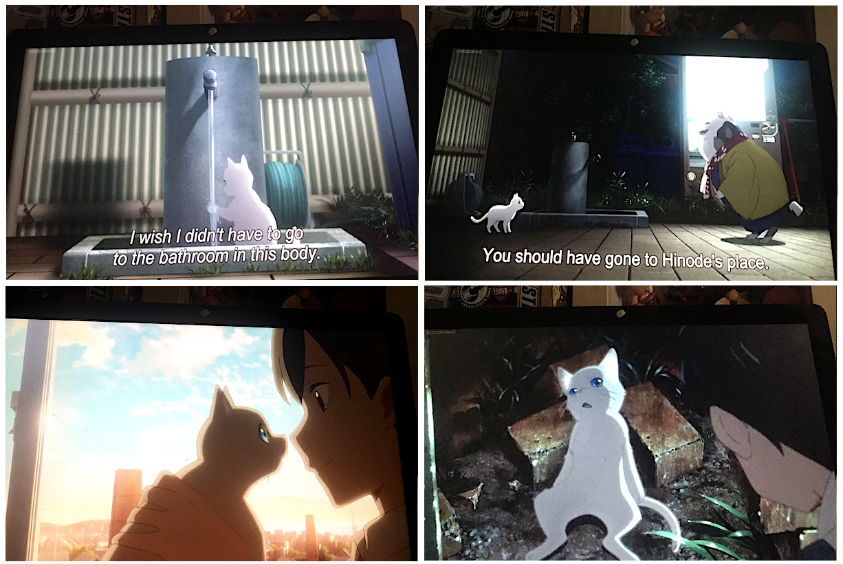 Anime-Review: A WHISKER AWAY (on Netflix)