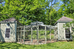 affair coop chicken sm gardens