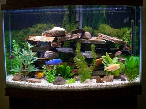 Use aquarium as a room divider – 26 examples.
