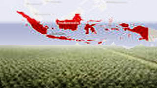 Aktor Leonardo Dicaprio Diusir dari Indonesia Aktor Leonardo Dicaprio Diusir dari Indonesia