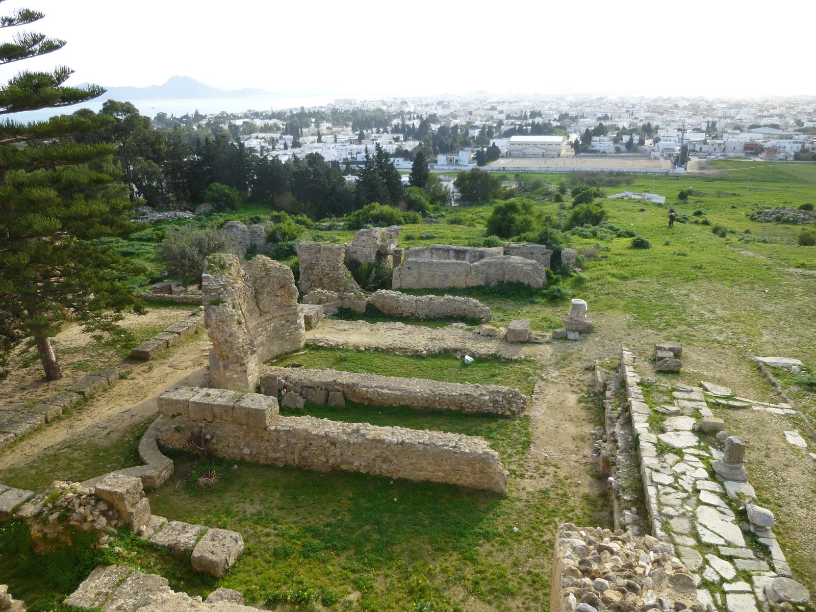 Tristan in Tunis: Alone on Brysa Hill: A Day in Carthage