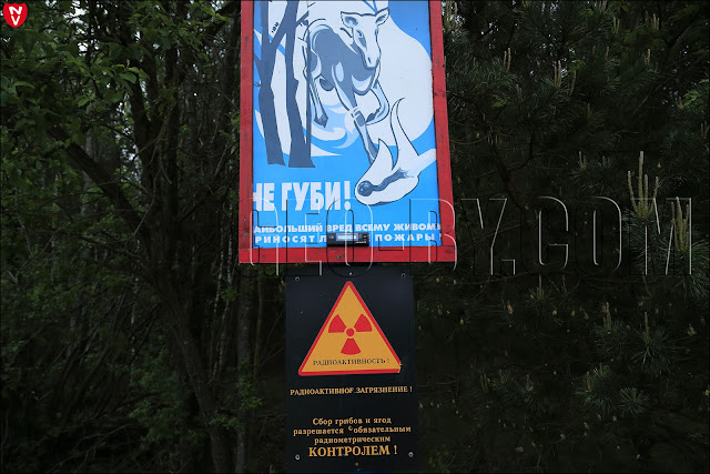 Замер радиационного фона на знаке предупреждающем о радиоактивном заражении у деревни Дайнова