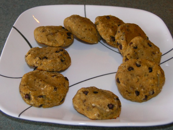 Fibromyalgia: Meet Your Match: Vegan Coconut Chocolate Chip Cookies and