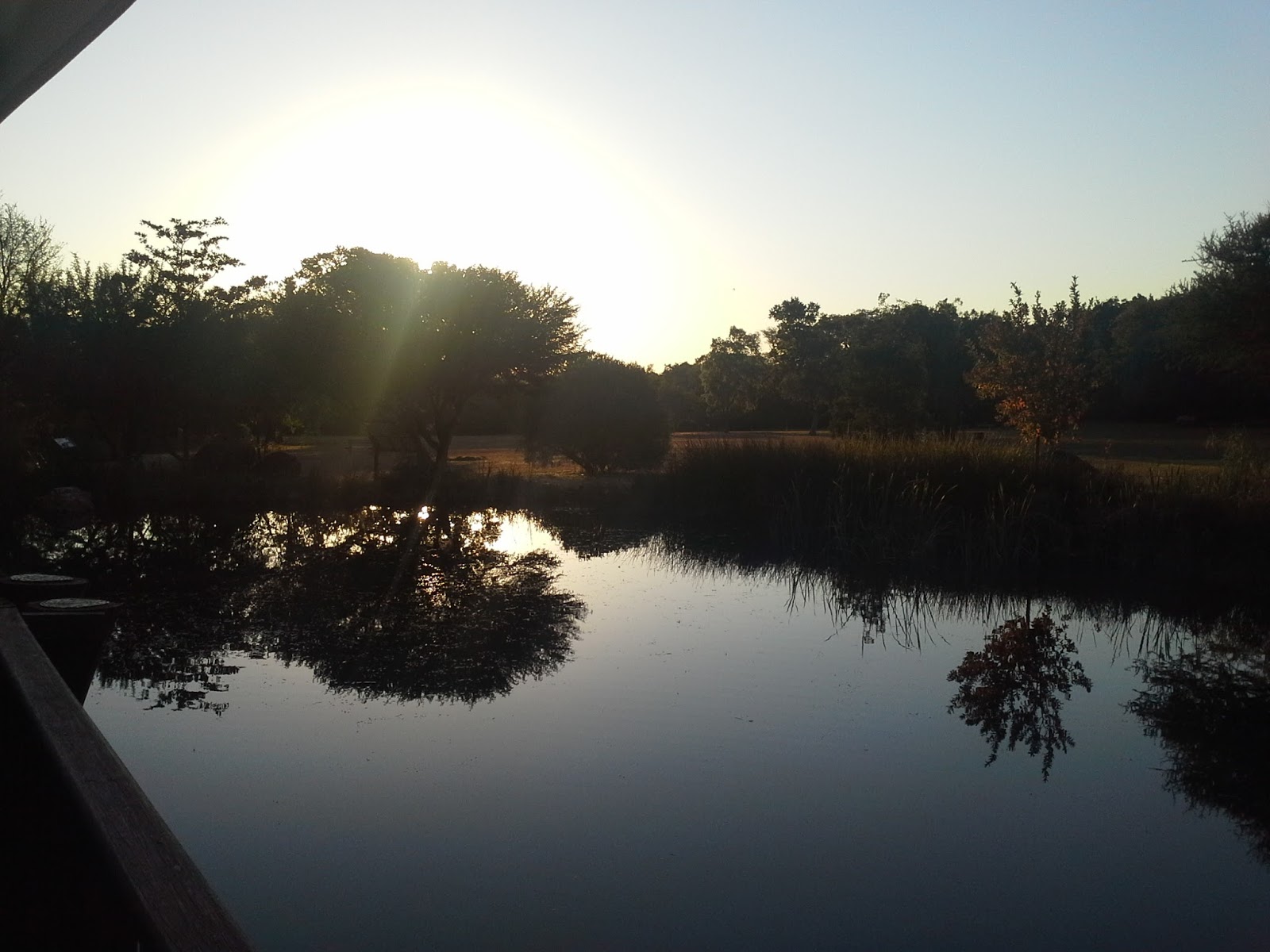 Go with Henry Sunset tea at the Pretoria Botanical gardens