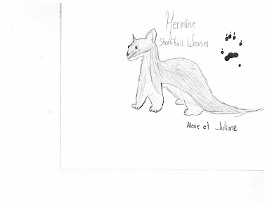 Hermine - Short-tail weassel